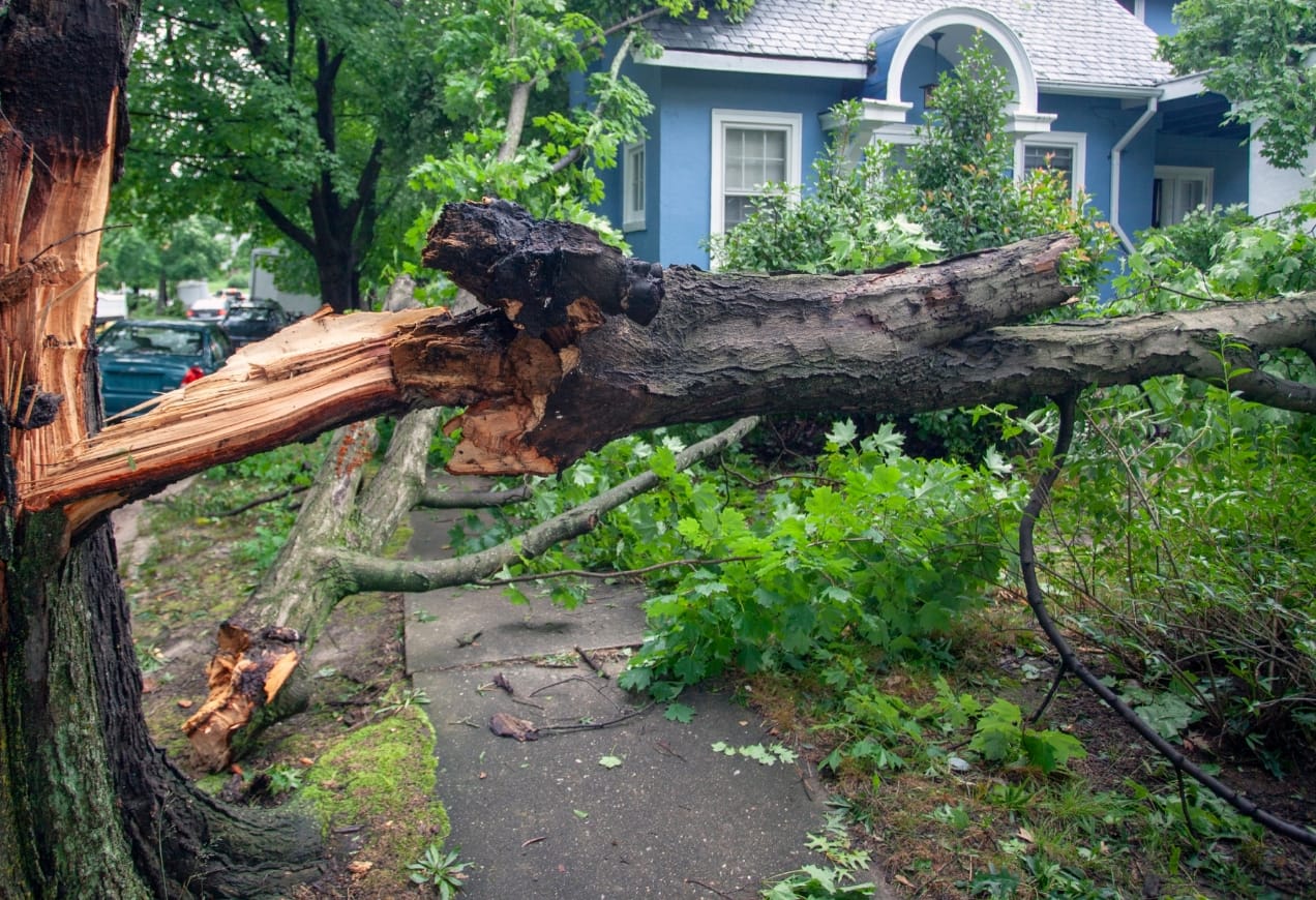 Hurricane Guidelines