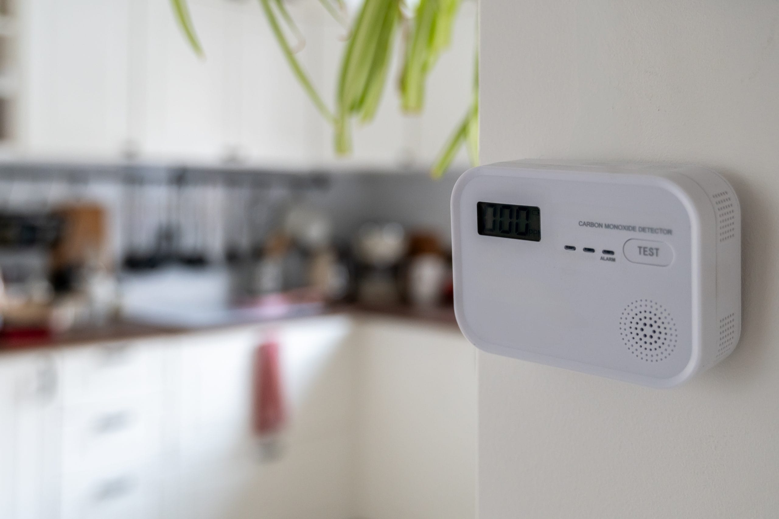 Beyond the Beep: Keeping Life Safety Systems Ready